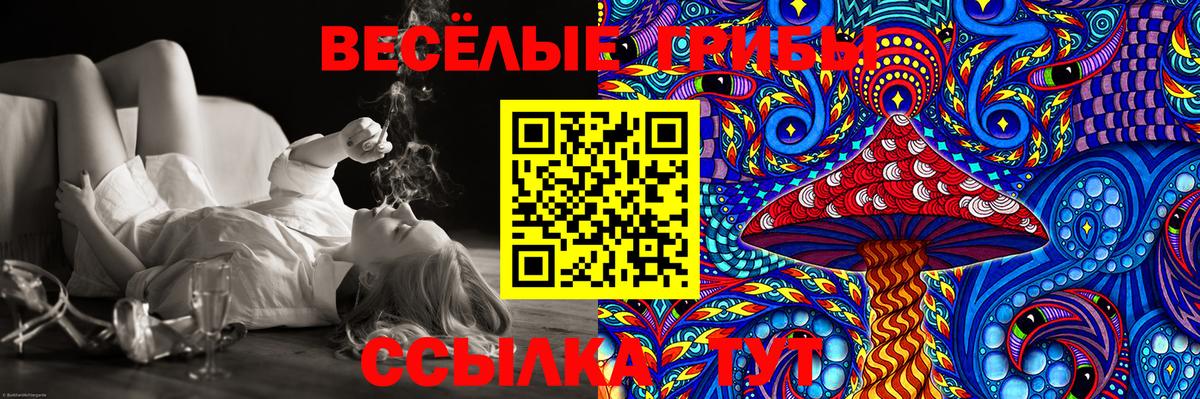 Псилоцибиновые грибы Psilocybe Чита