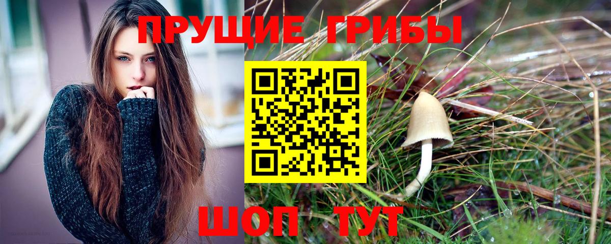 Псилоцибиновые грибы мухоморы  Вход с VPN  сколько стоит  Чита 